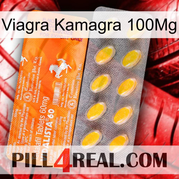 Viagra Kamagra 100Mg new05